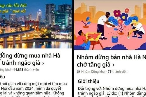 Hai group 'dừng mua tránh ngáo giá' và 'dừng bán nhà' tranh cãi nảy lửa về giá nhà đất