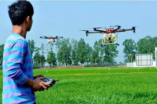 Thượng Hải công bố kế hoạch xây dựng hàng loạt trang trại tự động hóa hoàn toàn