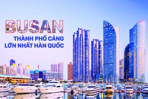 Cuộc sống nhộn nhịp bên bờ biển yên ả Busan