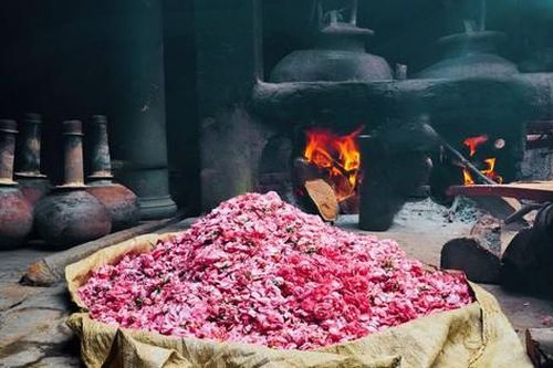 Sự trở mình của 'kinh đô nước hoa'
