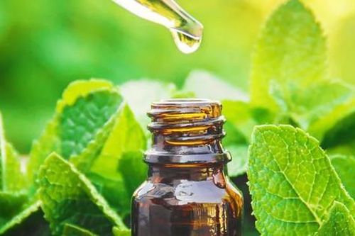 Liệu pháp hương thơm cho chứng đau nửa đầu