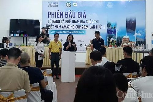 Đấu giá lô cà phê đặc sản ngon nhất Việt Nam: Giá cao nhất 1.200.000 đồng/kg