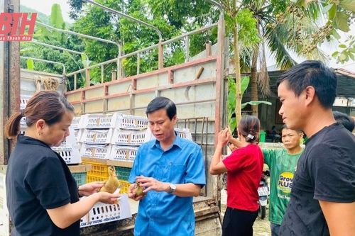 Bàn giao con giống và vật tư chăn nuôi vịt bầu cho người dân xã Trí Nang