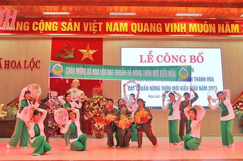 Phát huy giá trị văn hóa trong xây dựng nông thôn mới ở Hậu Lộc