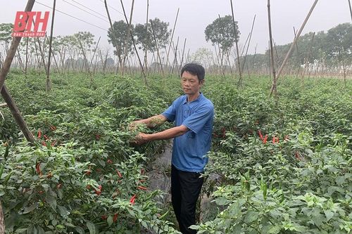 Bảo đảm an ninh, an toàn hoạt động trong hệ thống quỹ tín dụng Nhân dân