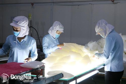 Tìm giải pháp chuyển giao khoa học - công nghệ