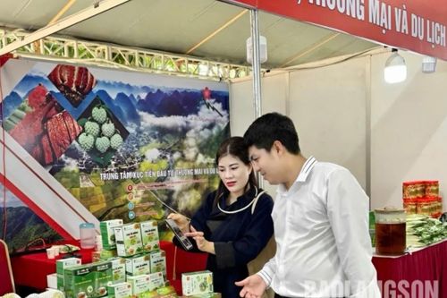 Lạng Sơn tham gia hội nghị kết nối doanh nghiệp tại tỉnh Thanh Hóa