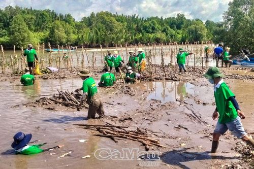 Khởi đầu tốt đẹp cho phong trào trồng rừng