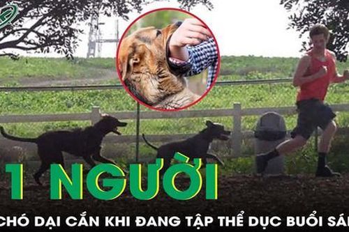 11 người ở Đồng Nai bị chó dại cắn khi đang tập thể dục buổi sáng