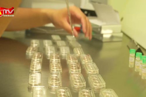 Sàng lọc trước sinh và sơ sinh: Giải pháp nâng cao chất lượng dân số