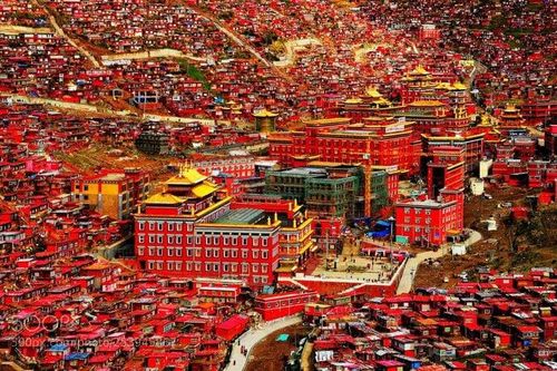 Vẻ đẹp bí ẩn của học viện Phật giáo có sức ảnh hưởng nhất thế giới
