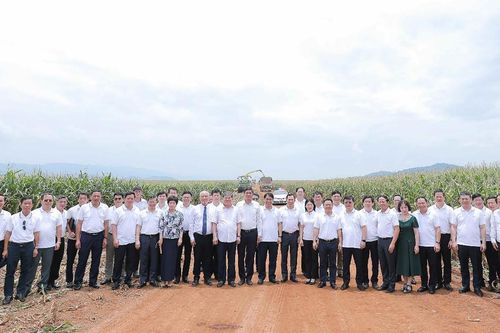 TH true MILK: 'Tạo giá trị kinh tế, thúc đẩy phát triển ngành sữa, đánh thức nguồn lực tinh thần quý giá là lòng tự hào dân tộc'
