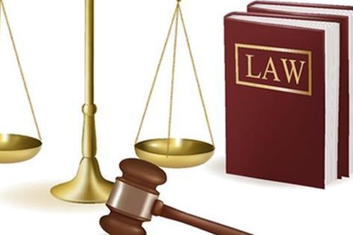 Thanh tra Chính phủ yêu cầu thanh tra toàn diện 7 doanh nghiệp