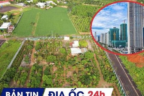 Địa ốc 24H: Đất trúng đấu giá 4,2 tỷ chuyển nhượng chỉ 50 triệu; Condotel sẽ được cấp 'sổ đỏ'