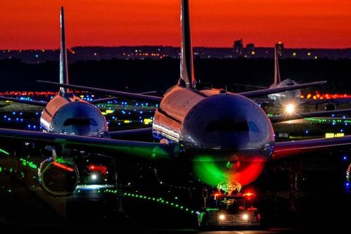 Sân bay 'lao đao' vì chuột náo loạn, gây mất điện trong nhiều giờ
