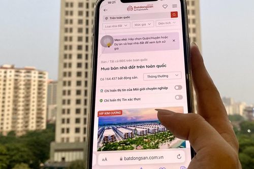 Lộ diện 'cá mập' chi 1,1 tỷ USD mua lại công ty mẹ Batdongsan.com.vn