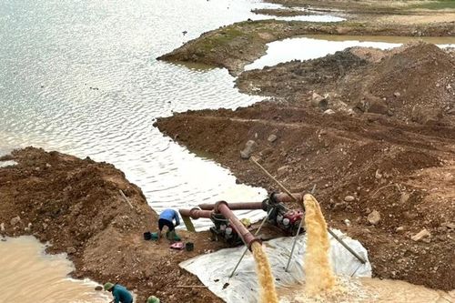 Lắp máy bơm dã chiến cứu 120ha lúa hè thu đang giai đoạn trổ bông ở Nghi Lộc