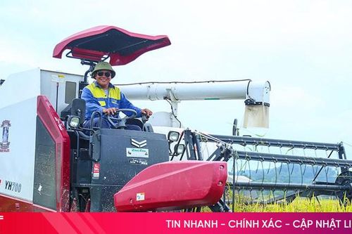 Rộn ràng thu hoạch sớm lúa hè thu ở Hà Tĩnh