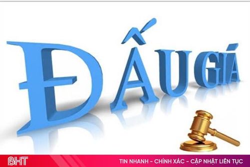 Công ty CP Lâm đặc sản và Xuất nhập khẩu Hà Tĩnh đấu giá và thanh lý hàng hóa, tài sản