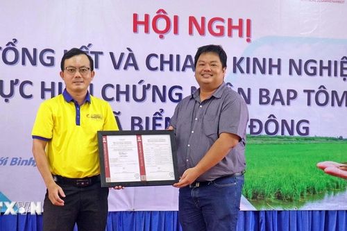 Trao chứng nhận cấp quốc tế cho vùng chuyên canh lúa-tôm ở Cà Mau