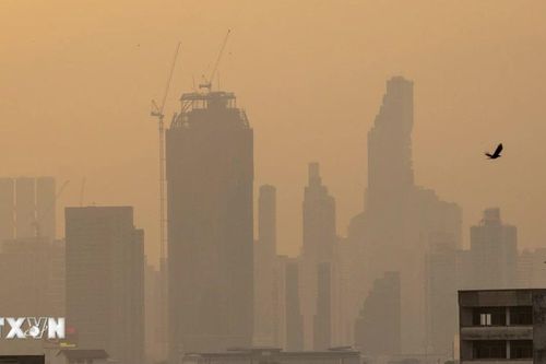 ASEAN hướng tới vùng đất than bùn không khói mù vào năm 2030