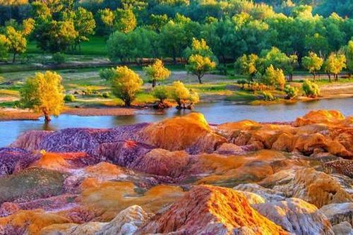 Hành trình xanh 'chữa lành' tâm hồn giữa thảo nguyên