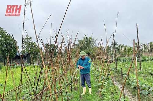 Nâng cao chất lượng sản phẩm cung ứng qua chuỗi thực phẩm an toàn