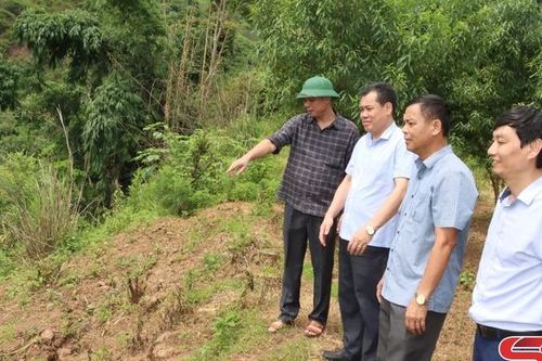 Đồng chí Phó Chủ tịch UBND tỉnh kiểm tra các điểm sạt lở đất tại Thuận Châu