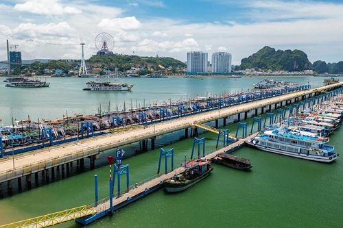Quảng Ninh: Tổng doanh thu dịch vụ cảng biển đạt trên 14.800 tỷ đồng trong 5 năm