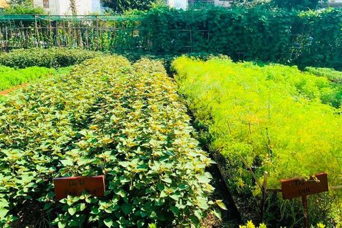 25 doanh nghiệp Quảng Nam đạt chứng nhận du lịch xanh