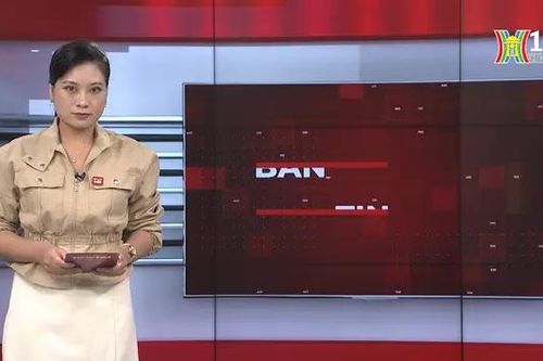 Bản tin 141 | 18/08/2024