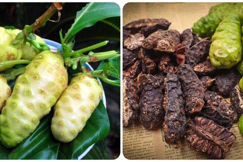 Quả nhàu có tác dụng gì với sức khỏe?