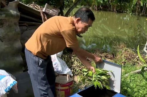 Làng quê sạch, đẹp từ những mô hình tự quản