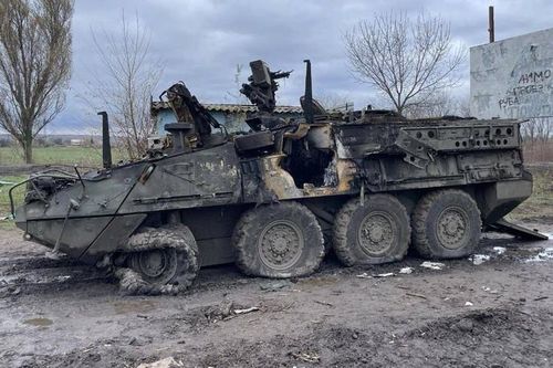 Quân Nga thu giữ xe bọc thép Stryker tại Kursk, Moscow thu món hời