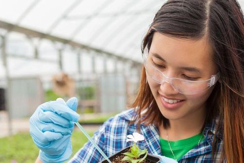 Cơ hội cho nữ giới yêu thích khối ngành STEM