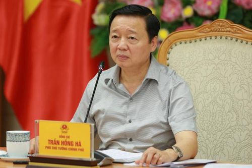 Dự án thành phần 4 sân bay Long Thành: Áp dụng cơ chế, chính sách của 3 luật trong thực hiện các gói thầu