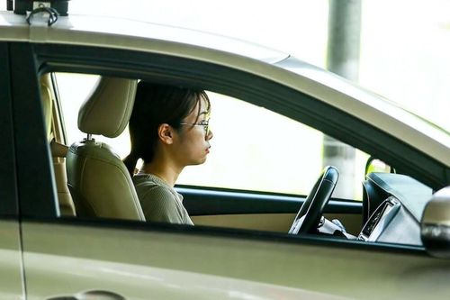 Học viên không đeo phù hiệu khi tập lái, đề xuất phạt giáo viên