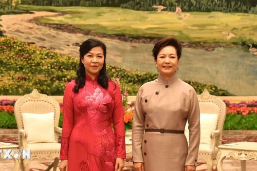 Phu nhân Ngô Phương Ly dự tiệc trà do Phu nhân Bành Lệ Viên chủ trì