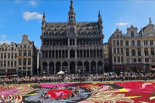 Rực rỡ thảm hoa Brussels 2024