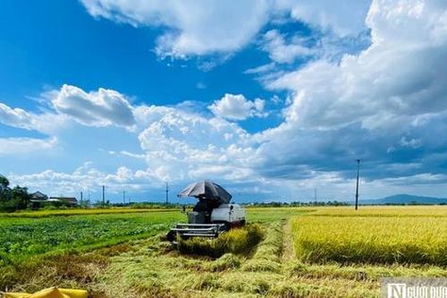 Bình Định:Tín dụng chính sách góp phần thúc đẩy giảm nghèo bền vững