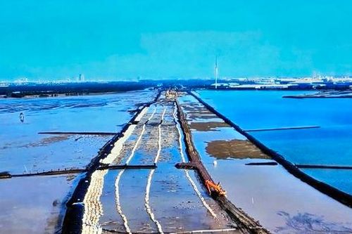 Hải Phòng: Tháo gỡ khó khăn, vướng mắc dự án tuyến đê biển gần 2.300 tỷ đồng