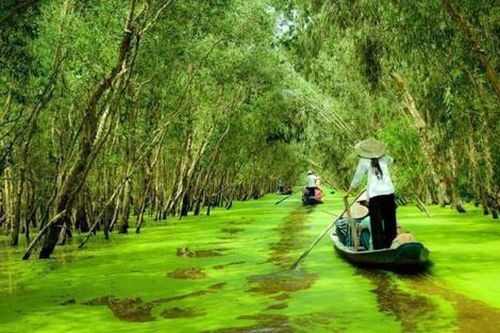 'Trốn thành phố' về miền Tây đi chơi đâu dịp lễ 2/9 này?