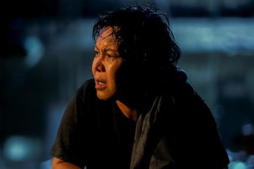 Chuyện gì đang xảy ra với Việt Hương?
