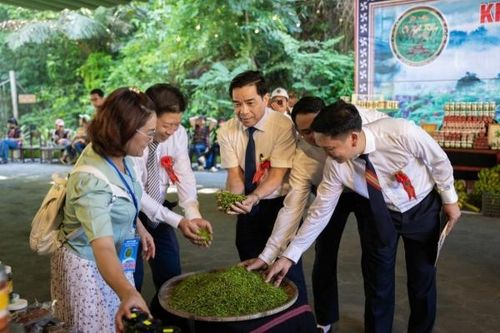 Xúc tiến thương mại ớt A Riêu - Đặc sản miền núi Quảng Nam