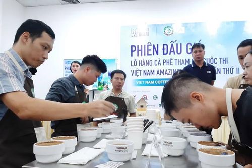 Thị trường cà phê đặc sản có 'đất phát', giá bán lên cả triệu đồng/kg