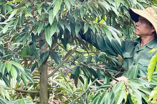 Rơ Lan Bye: Người 'thắp lửa' làng Bua