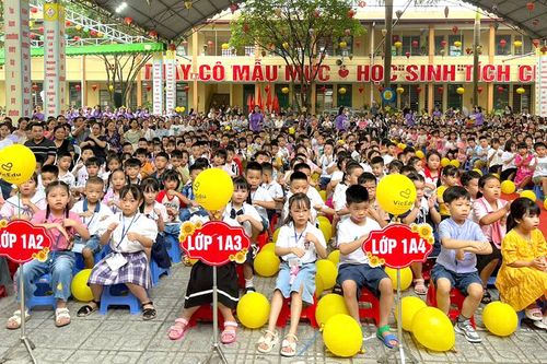 Trên 24.000 học sinh lớp 1 trên địa bàn tỉnh tựu trường
