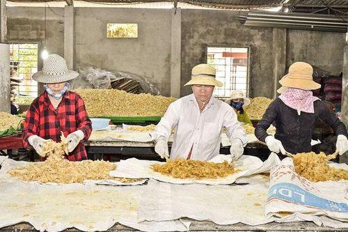 Hiệu quả các nghề truyền thống, làng nghề