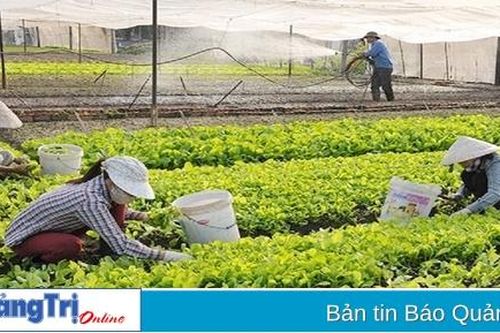 Thủ tục hành chính mới trong thành lập, hoạt động của tổ hợp tác, hợp tác xã, liên hiệp hợp tác xã