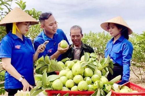 Những người lính giữa thời bình